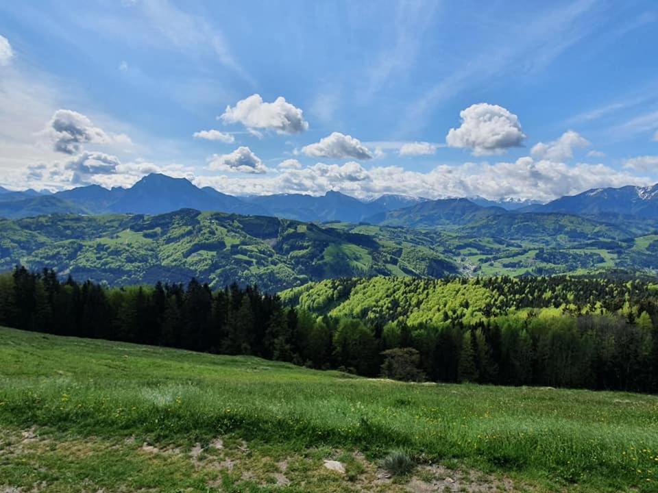 Apartmán Holzhaus "Zum Schwarz'N" Aurach am Hongar Exteriér fotografie