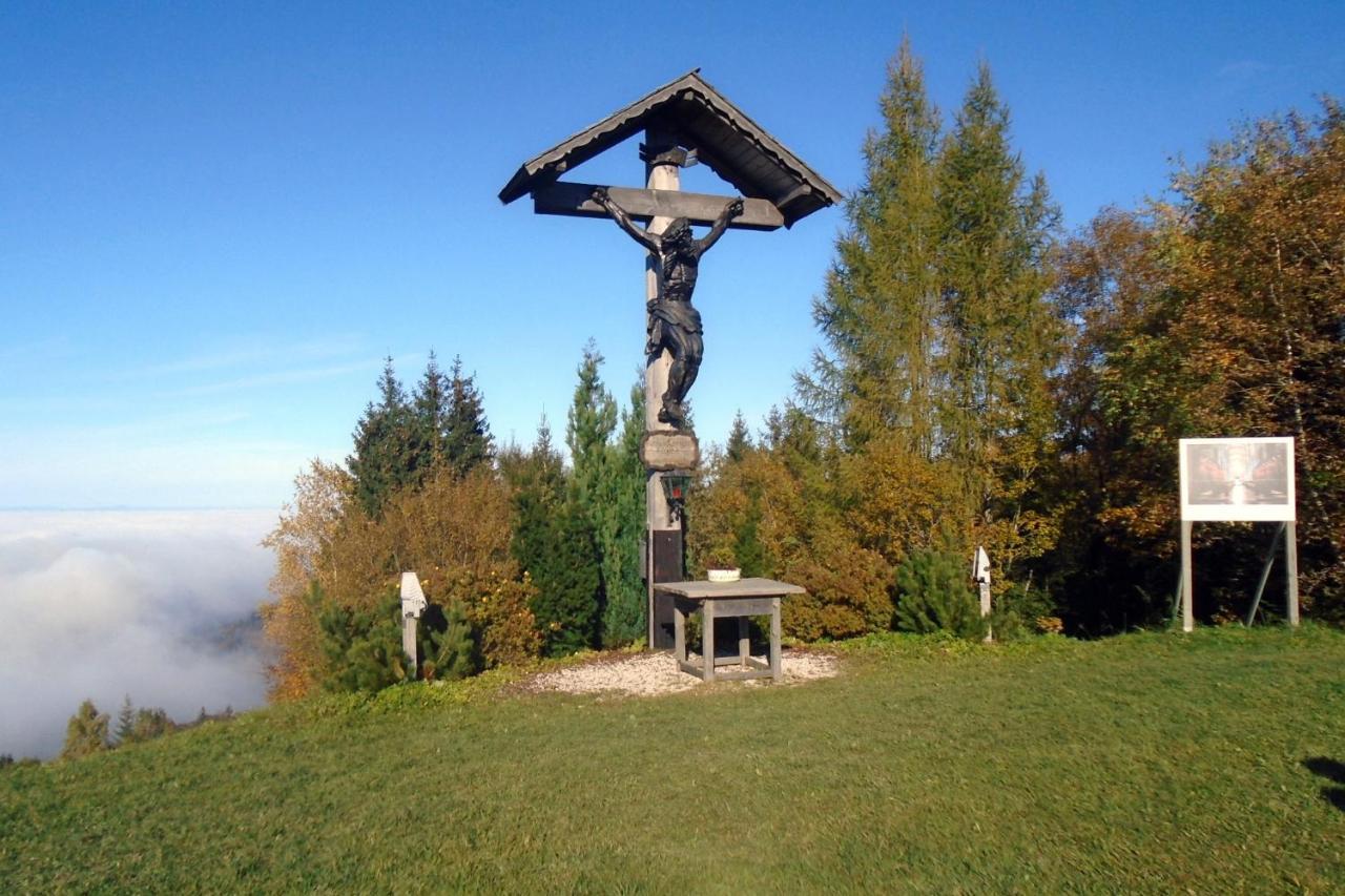 Apartmán Holzhaus "Zum Schwarz'N" Aurach am Hongar Exteriér fotografie