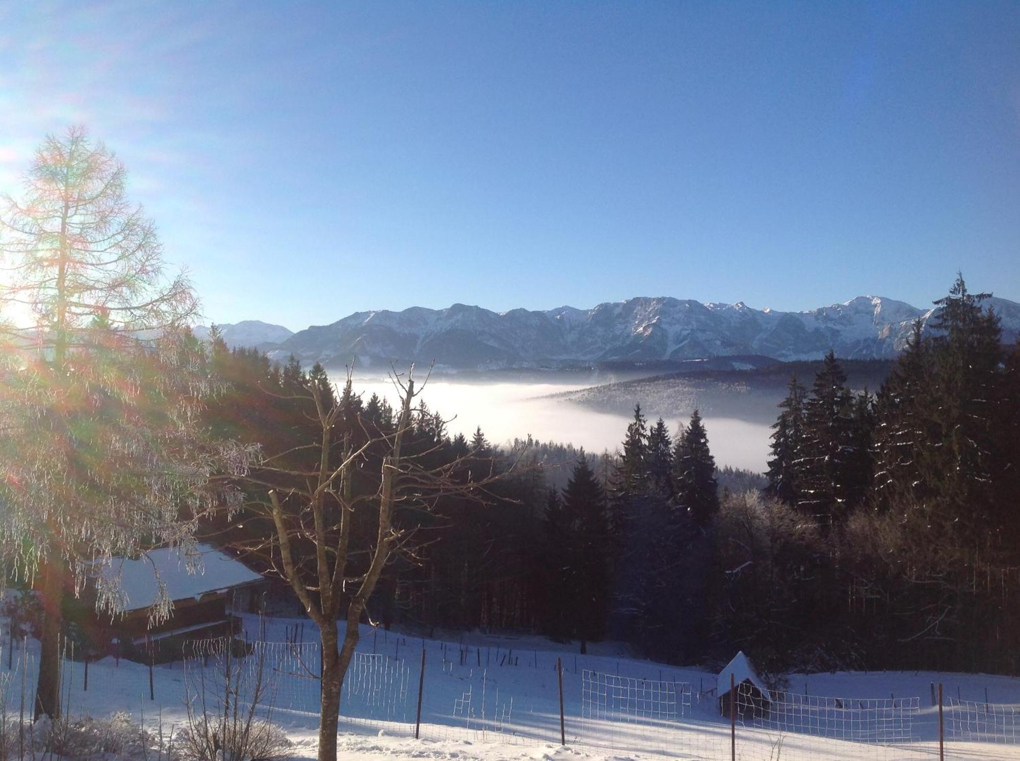 Apartmán Holzhaus "Zum Schwarz'N" Aurach am Hongar Exteriér fotografie