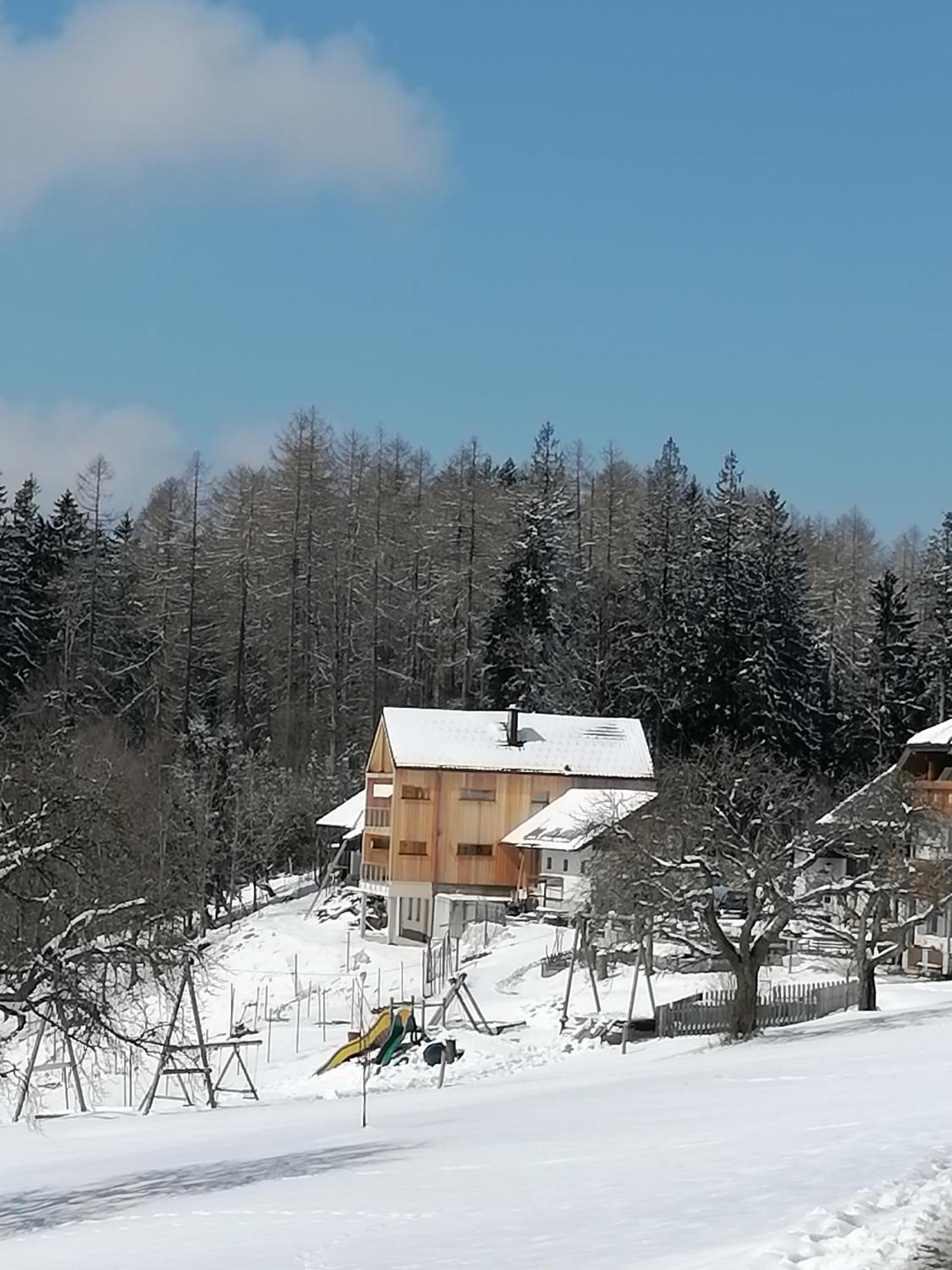 Apartmán Holzhaus "Zum Schwarz'N" Aurach am Hongar Exteriér fotografie