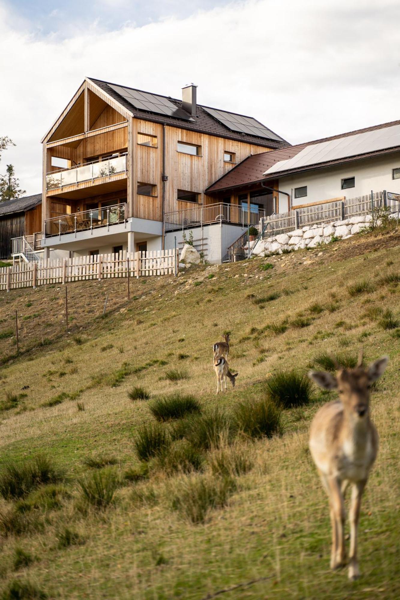 Apartmán Holzhaus "Zum Schwarz'N" Aurach am Hongar Exteriér fotografie